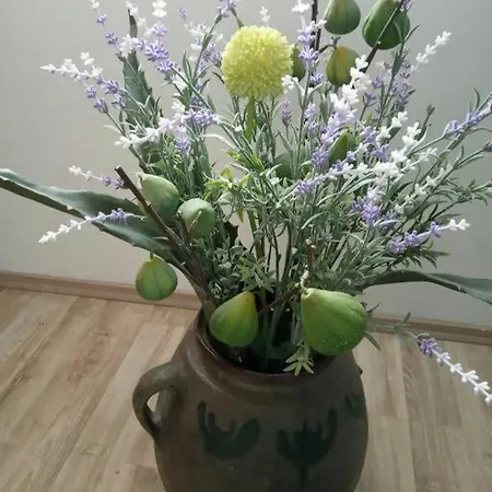 Barbara's Inheritance *